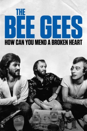 Capa do filme The Bee Gees: How Can You Mend a Broken Heart para assistir online em HD