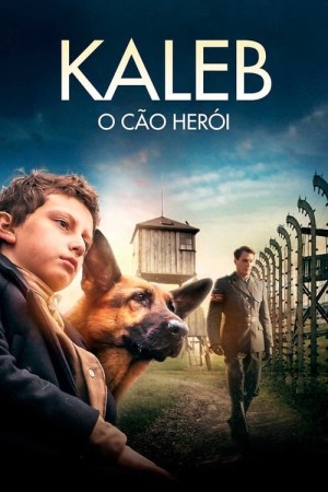 Capa do filme Kaleb - O Cão Herói para assistir online em HD