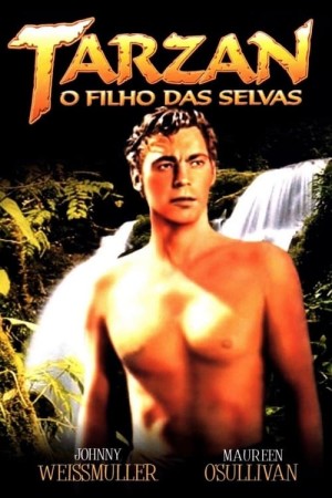 Capa do filme Tarzan, o Filho da Selva para assistir online em HD