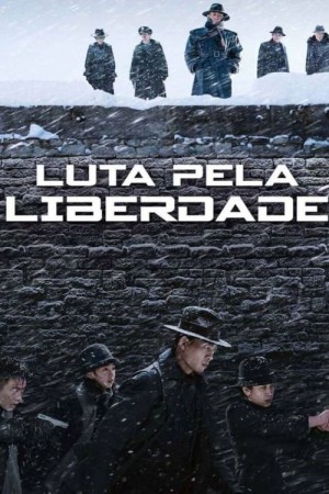 Capa do filme Luta Pela Liberdade para assistir online em HD